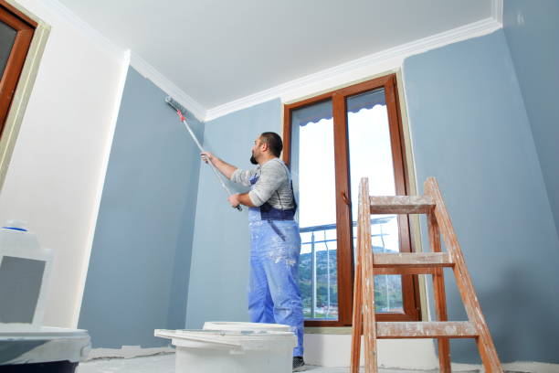 Best Wallpaper Removal and Painting  in Ofallon, MO