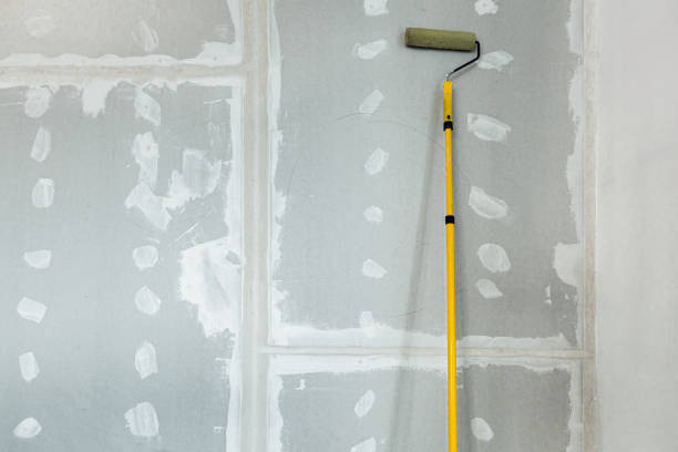 Wallpaper Removal and Painting in Ofallon, MO